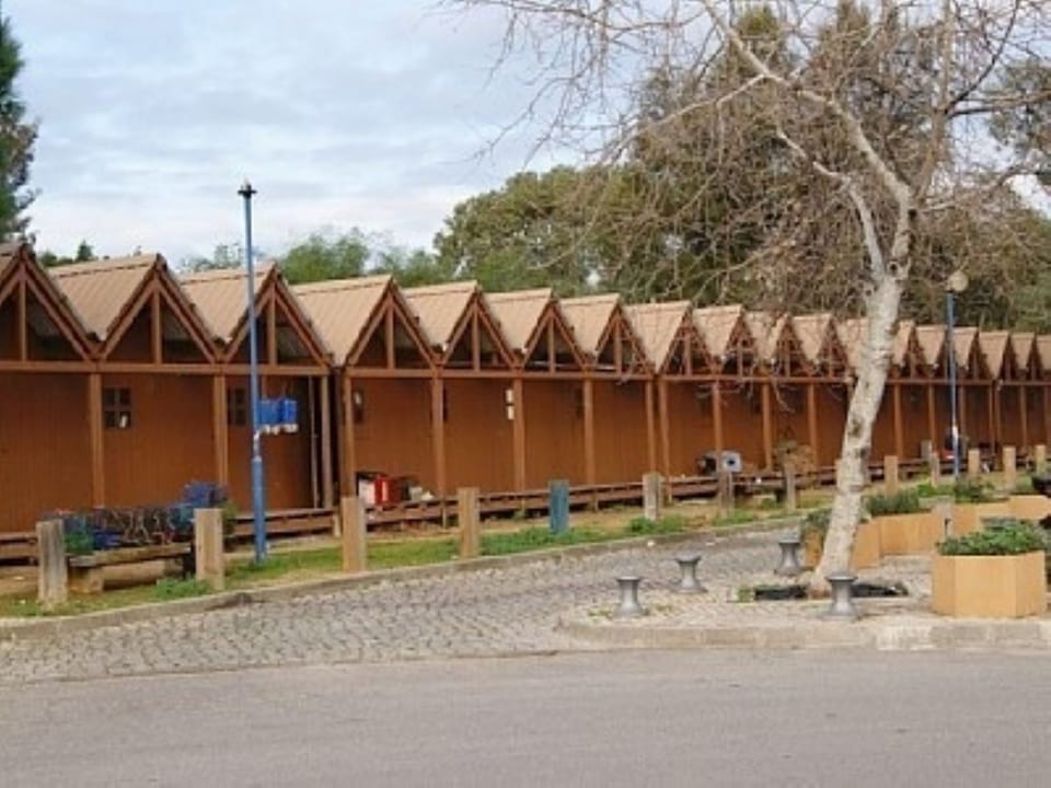 Fishermens' sheds