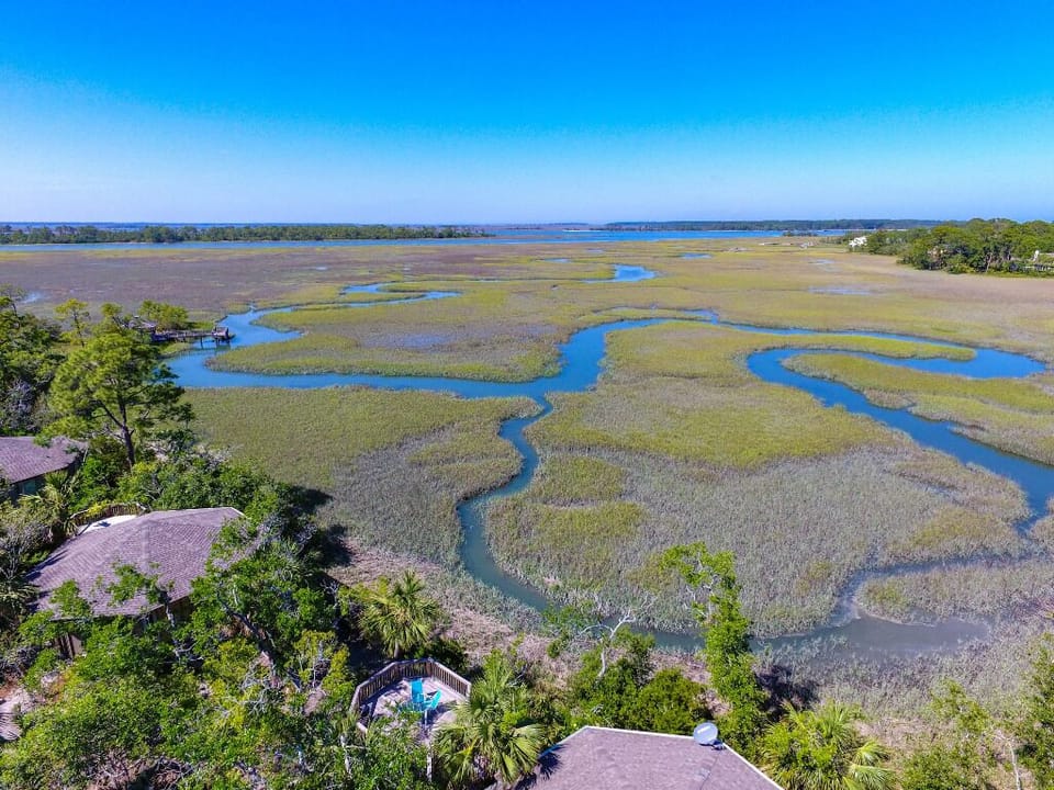 Aerial Marsh View