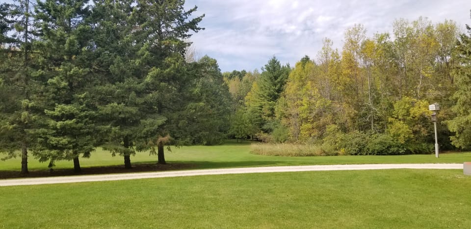 front yard view