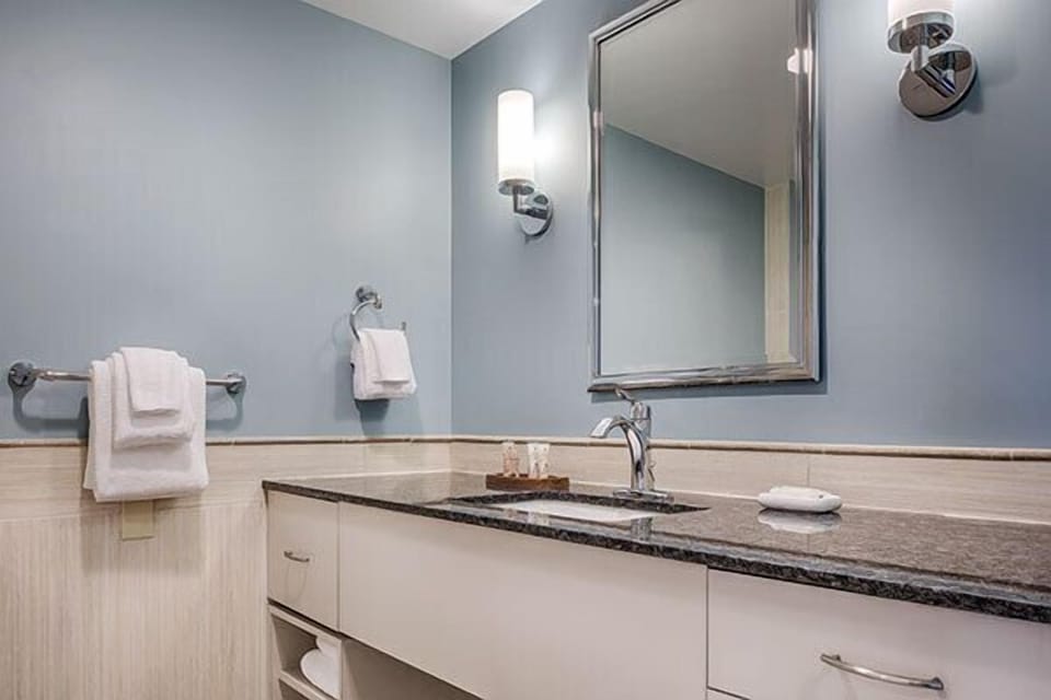 1 Bedroom Suite