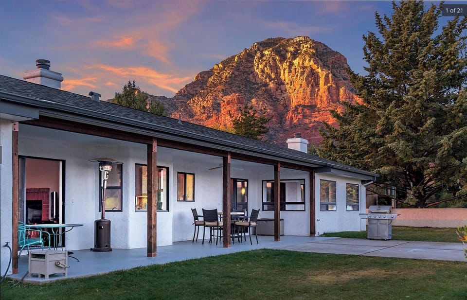 The back garden, evening light.