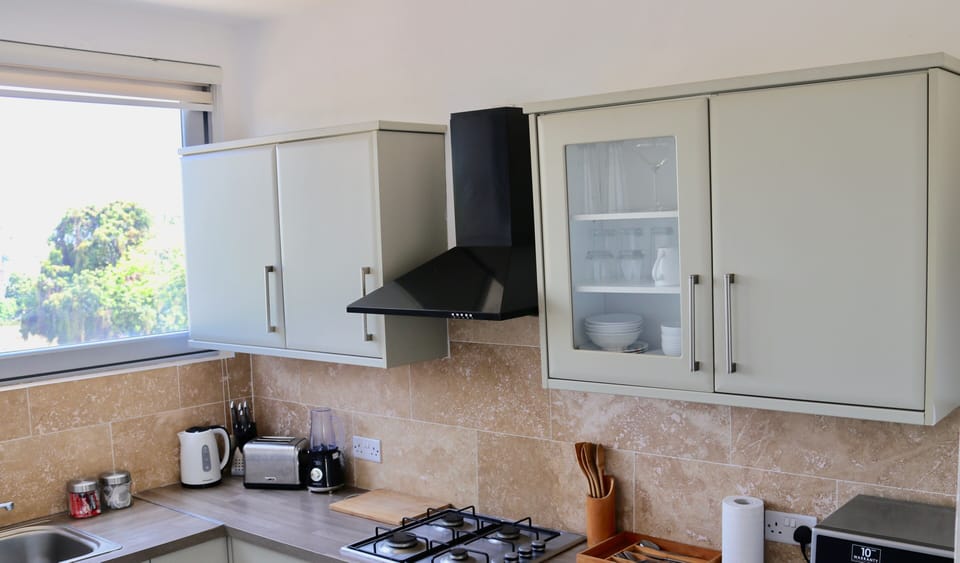 Kitchen Amenities - Smoothie Blender, Toaster, Kettle, Microwave