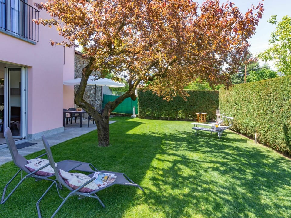 Plant, Property, Furniture, Window, Nature, Chair, Leaf, Building, Shade, Tree
