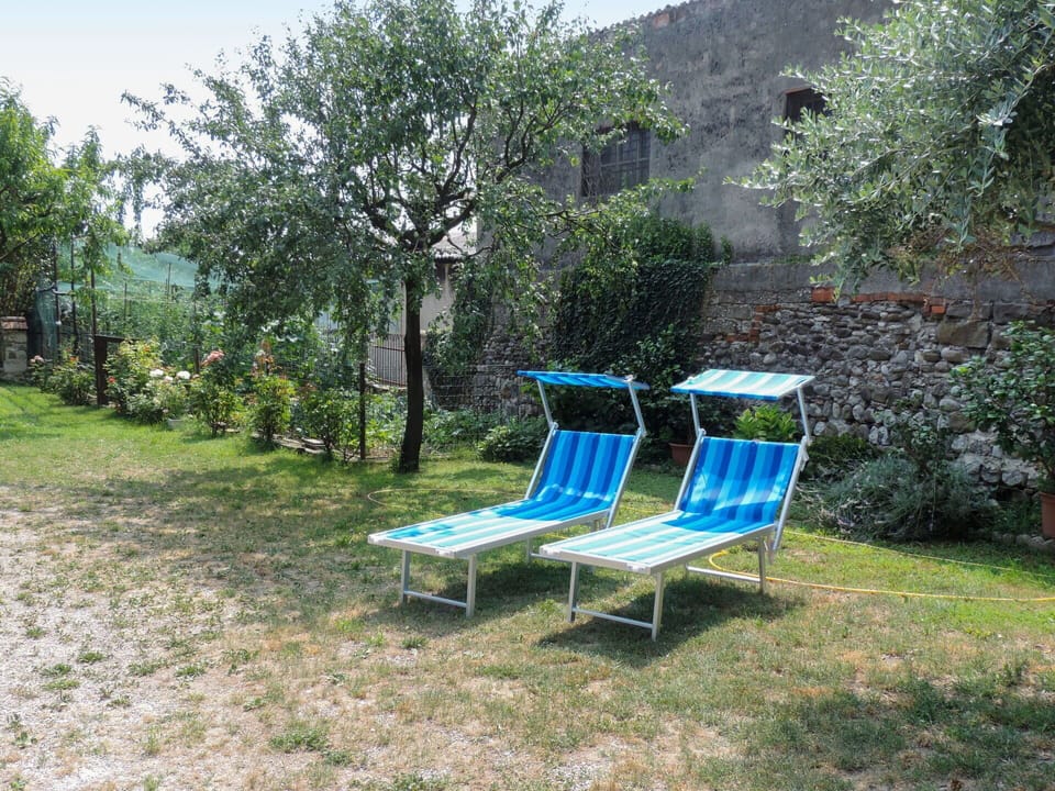 Plant, Plant Community, Furniture, Sky, Natural Landscape, Tree, Outdoor Furniture, Shade, Woody Plant, Leisure