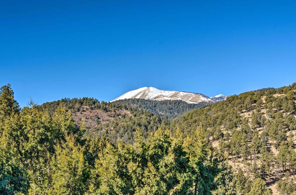 Property Views