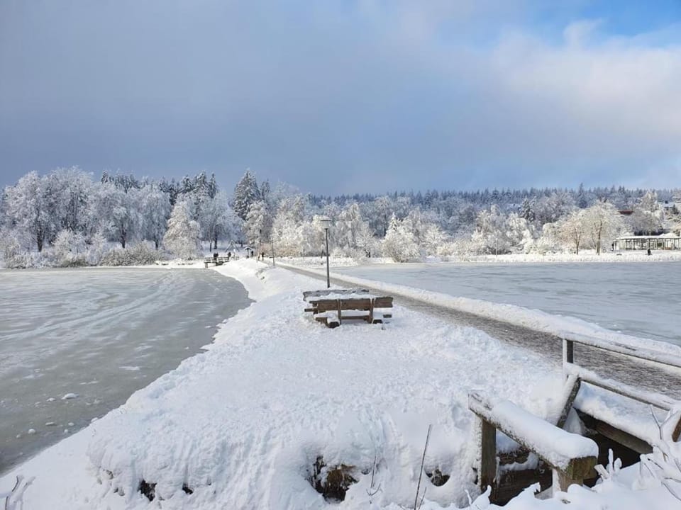 Region [winter] (>5 km)