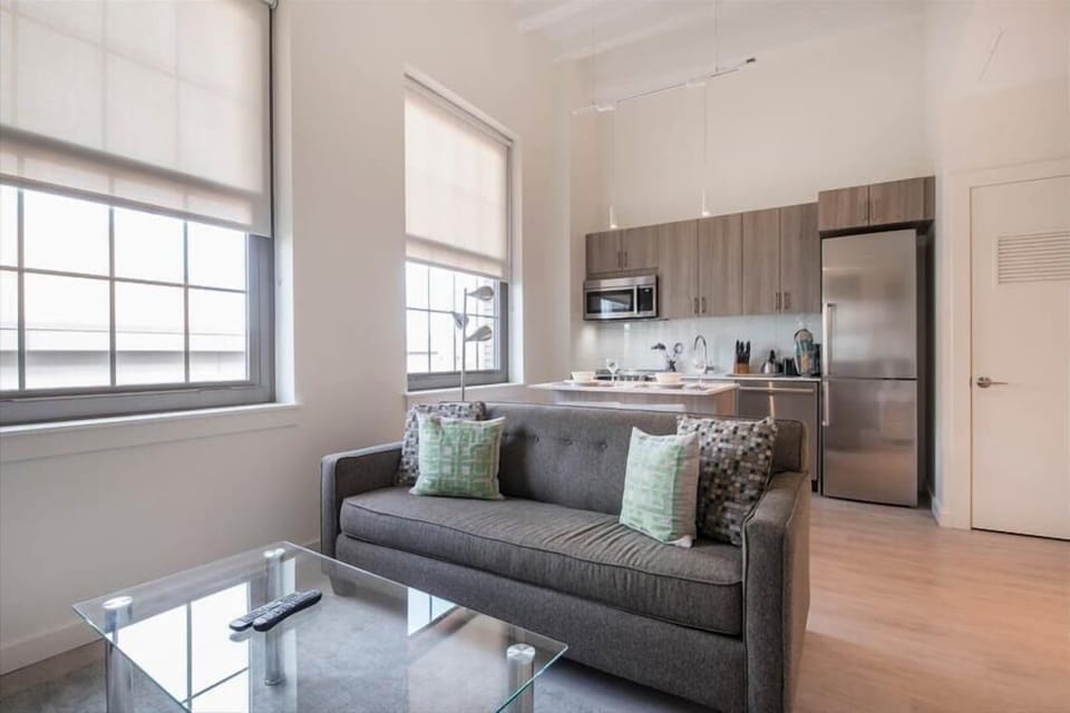Downtown/South End Boston Studio Living Room