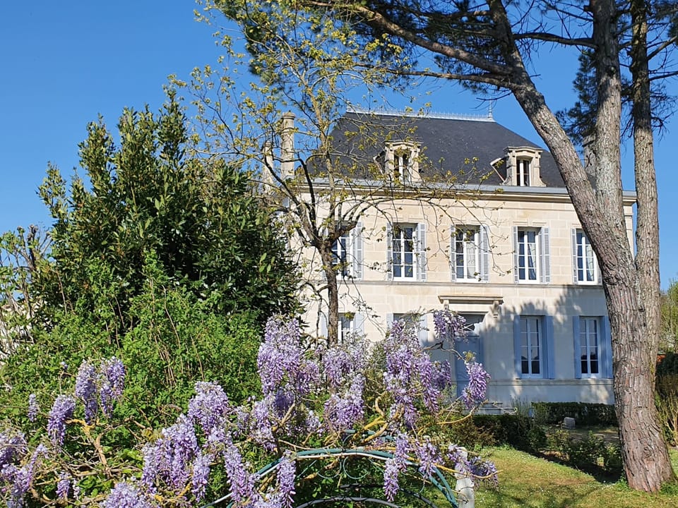 Our manor house with the Spring wisteria.