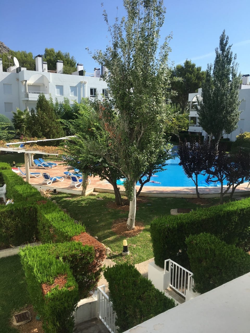 Pool view from dining area and kitchen