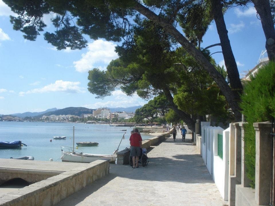 The Pine Walk