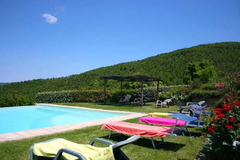 Sky, Water, Plant, Natural Landscape, Swimming Pool, Outdoor Furniture, Vegetation, Body Of Water, Shade, Grass