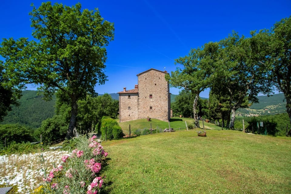 Grass, House, Home, Rural Area, Cottage, Farmhouse, Estate, Meadow, Lawn, Landscaping
