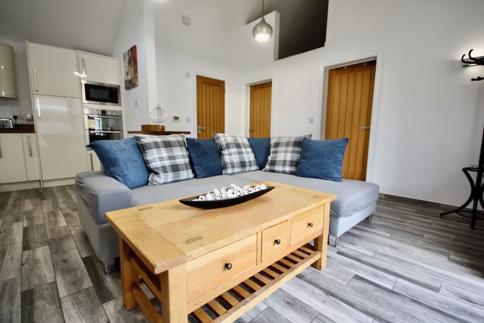 Lounge and kitchen combined 