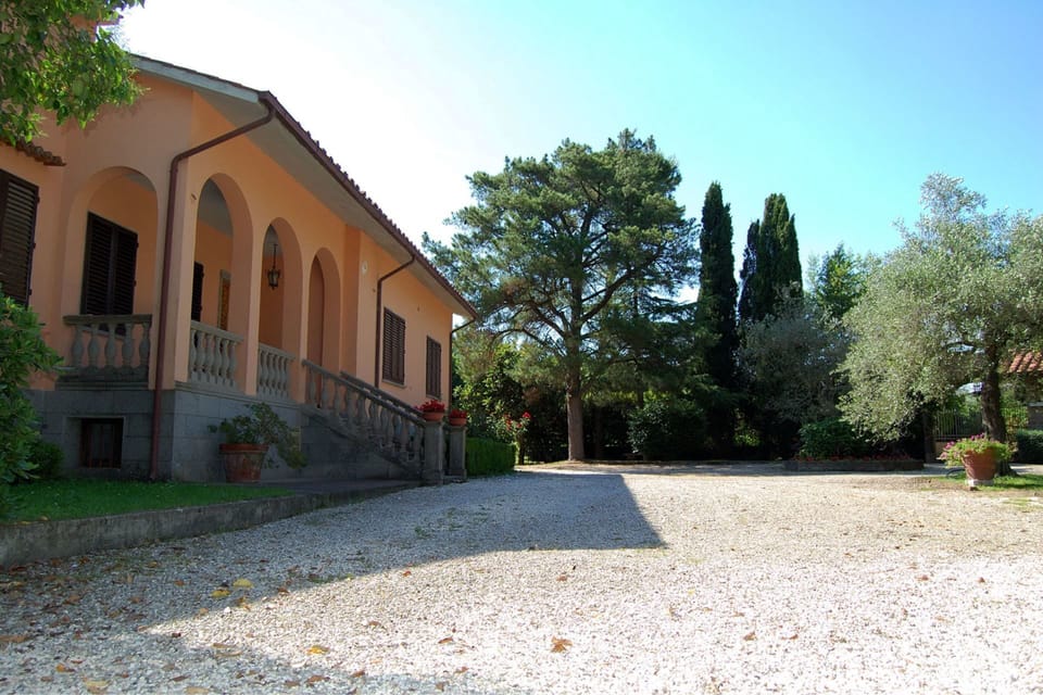 Plant, Sky, Building, Tree, Window, Shade, Land Lot, Road Surface, Grass, Landscape