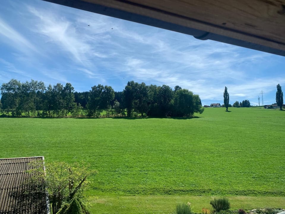 View from property