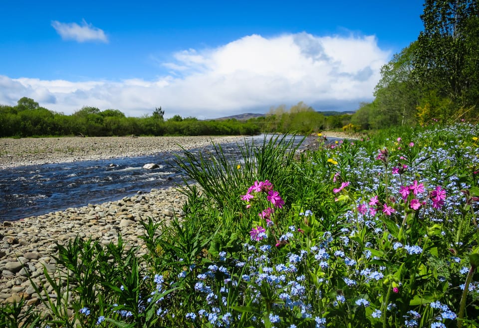 The Ettrick Water, Selkirk