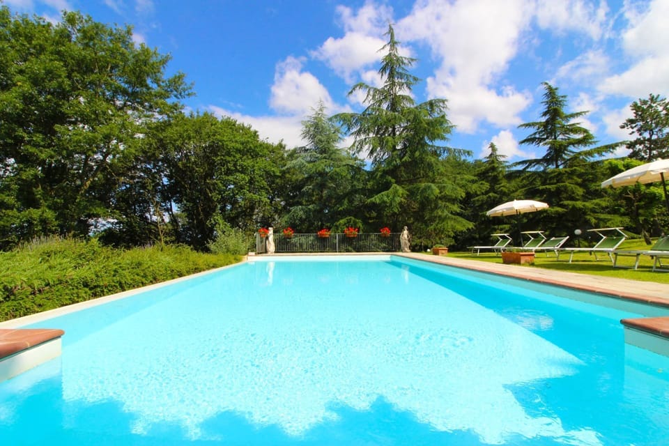Water, Cloud, Plant, Sky, Swimming Pool, Tree, Shade, Grass, Natural Landscape, Leisure