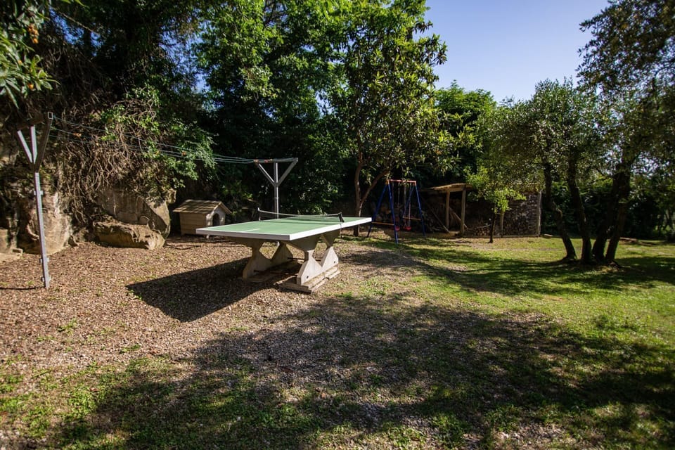 Plant, Plant Community, Shade, Tree, Outdoor Bench, Natural Landscape, Sky, Land Lot, Sunlight, Outdoor Furniture