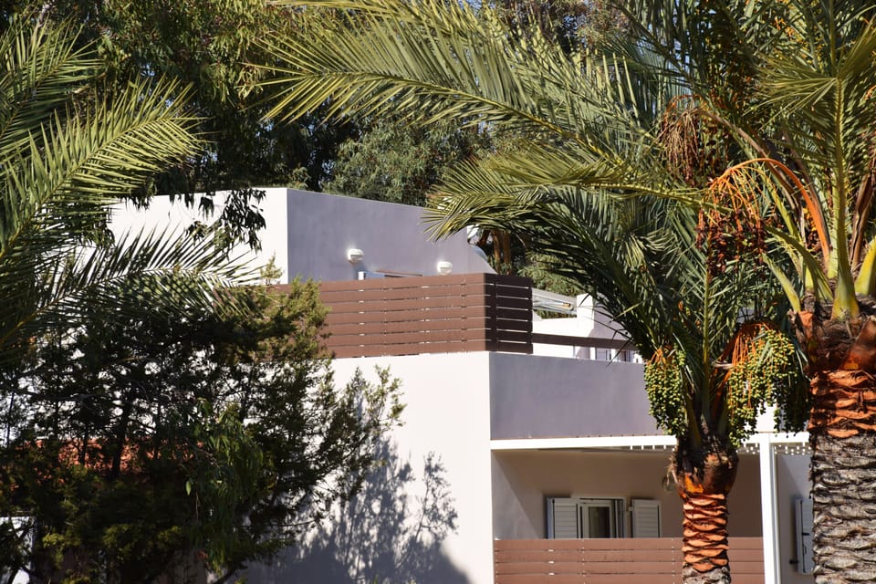 The villa, tucked among date palms.
