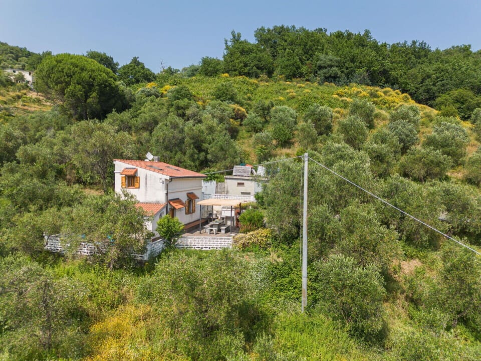 Vegetation, House, Residential Area, Shrub, Rural Area, Plant Community, Roof, Home, Land Lot