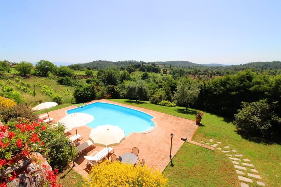 Plant, Flower, Water, Sky, Plant Community, Tree, Natural Landscape, Natural Environment, Swimming Pool, Leisure