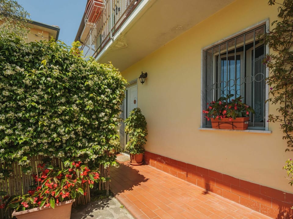 Plant, Flower, Building, Flowerpot, Houseplant, Window, Vegetation, Architecture, Wood, Neighbourhood
