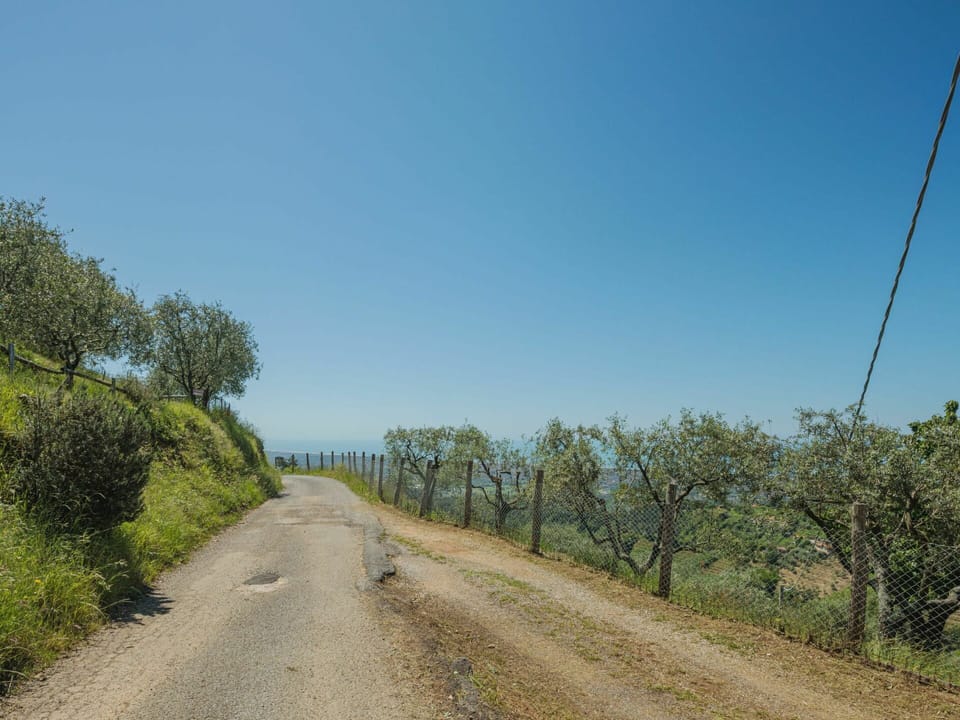 Sky, Plant, Plant Community, Ecoregion, Natural Landscape, Road Surface, Tree, Slope, Land Lot, Asphalt