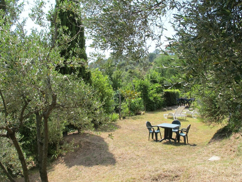 Plant, Outdoor Bench, Tree, Table, Natural Landscape, Shade, Outdoor Furniture, Sky, Bench, Grass