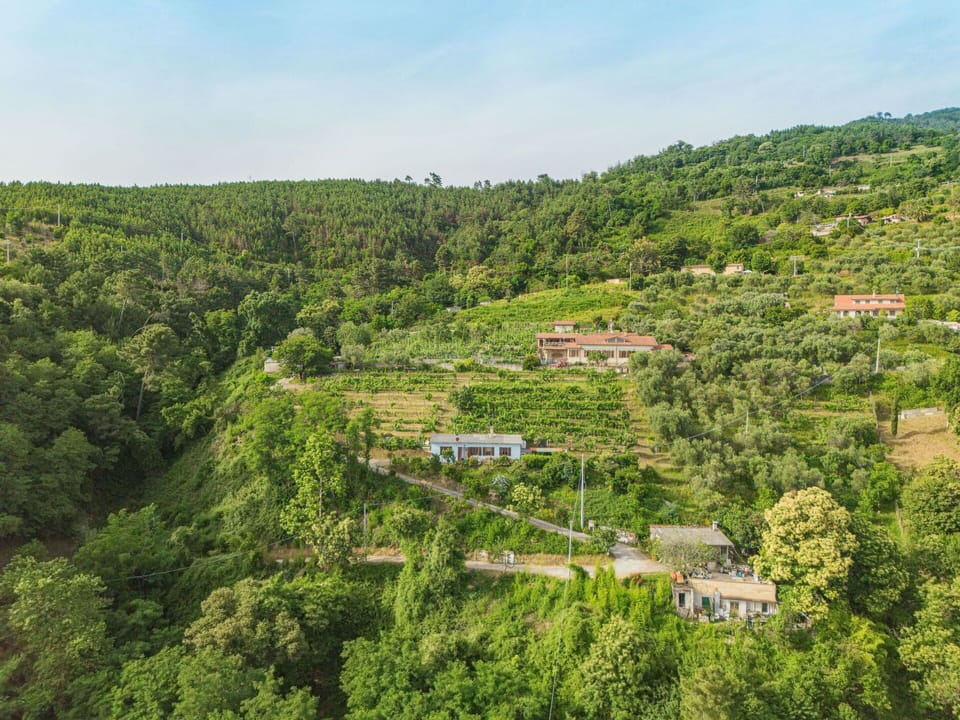 Sky, Plant Community, Plant, Natural Landscape, Cloud, Highland, Tree, Plain, Grassland, Meadow