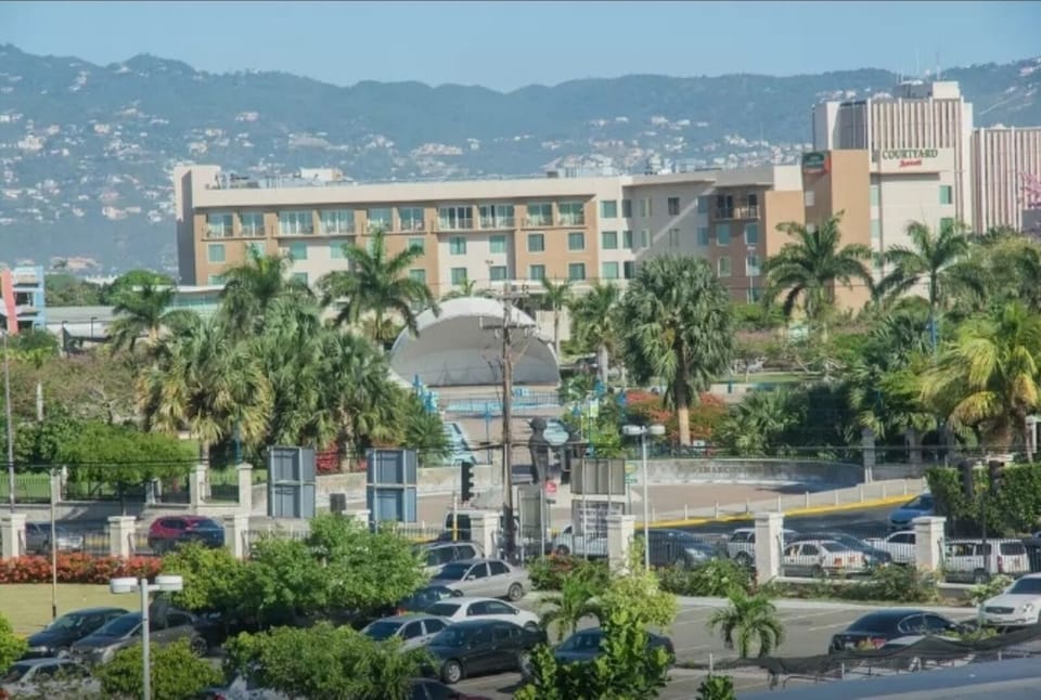 view of the emancipation park from the window