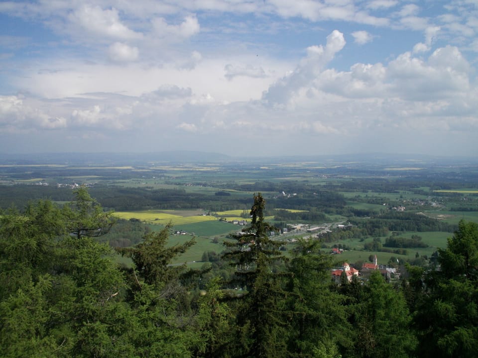 5*****apartment, 2-4 p., 2 bedrooms, child-friendly, WiFi via DSL free of charge Apartment in Saxony
