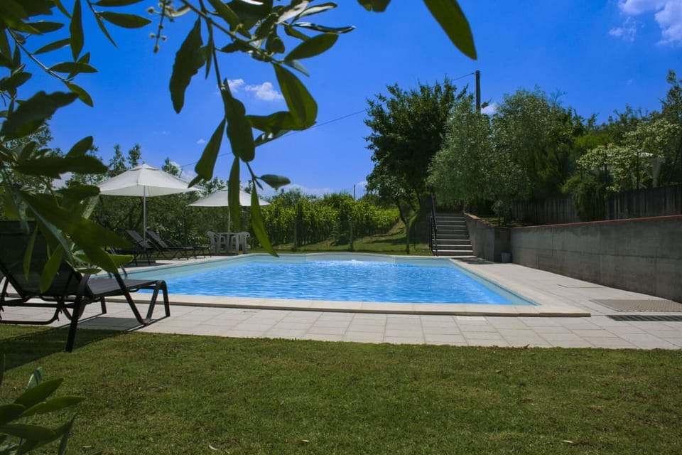 Swimming Pool, Outdoor Furniture, Resort, Shade, Garden, Eco Hotel, Landscaping, Backyard, Sunlounger, Estate