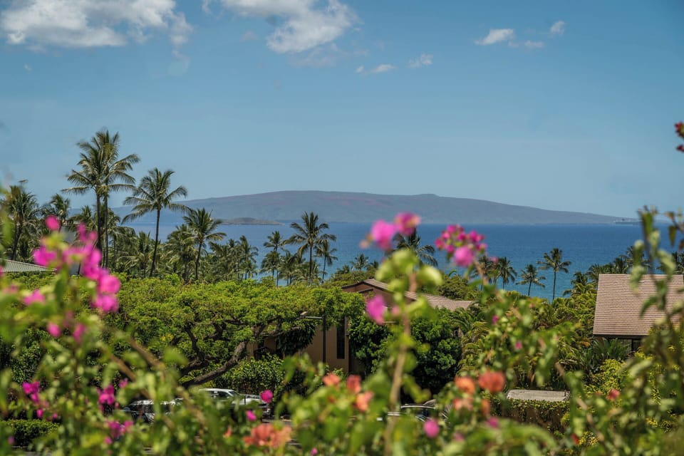 Ocean & Mountain Views From Lanai
