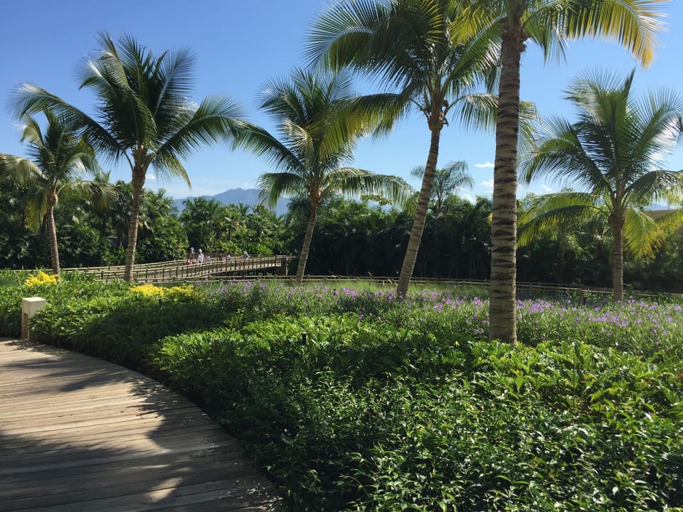 Walking paths between buildings.....