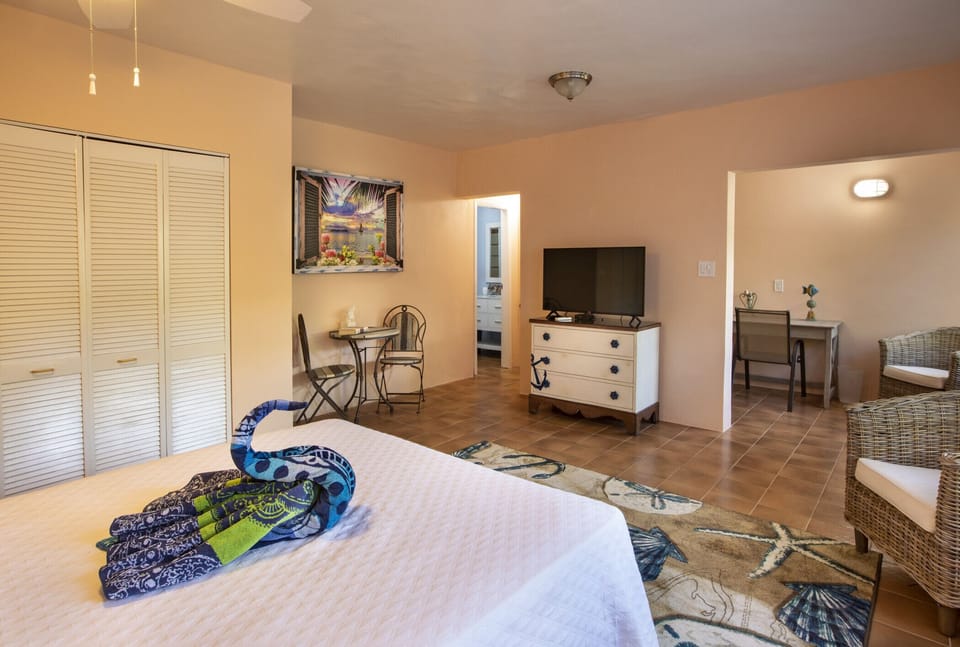 Bedroom 3 with queen bed, AC, ensuite bath, and flat screen TV