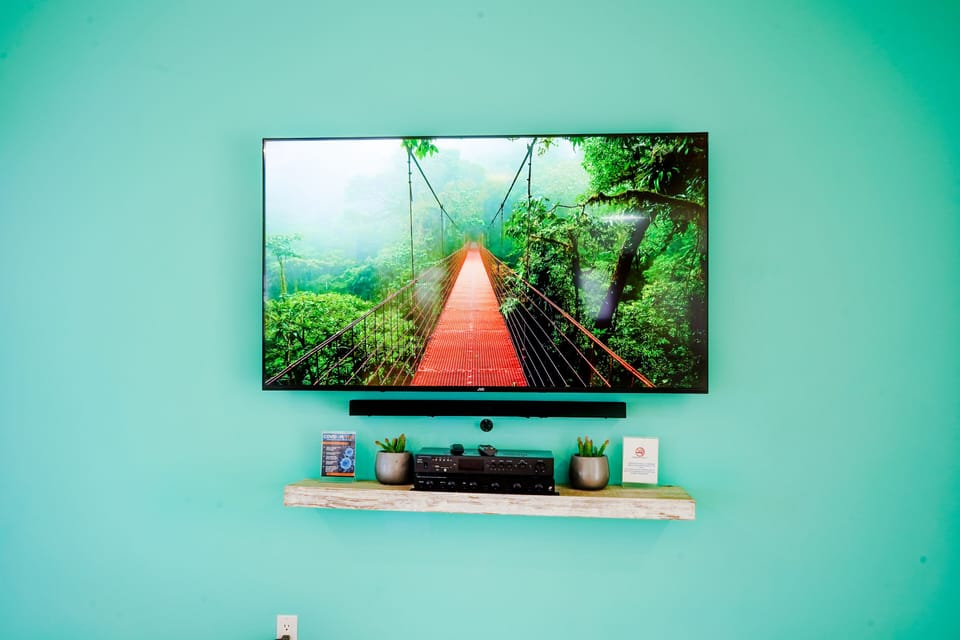 Television