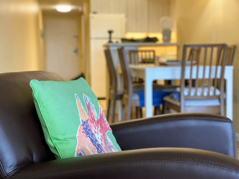 Living room with sofa sleeper