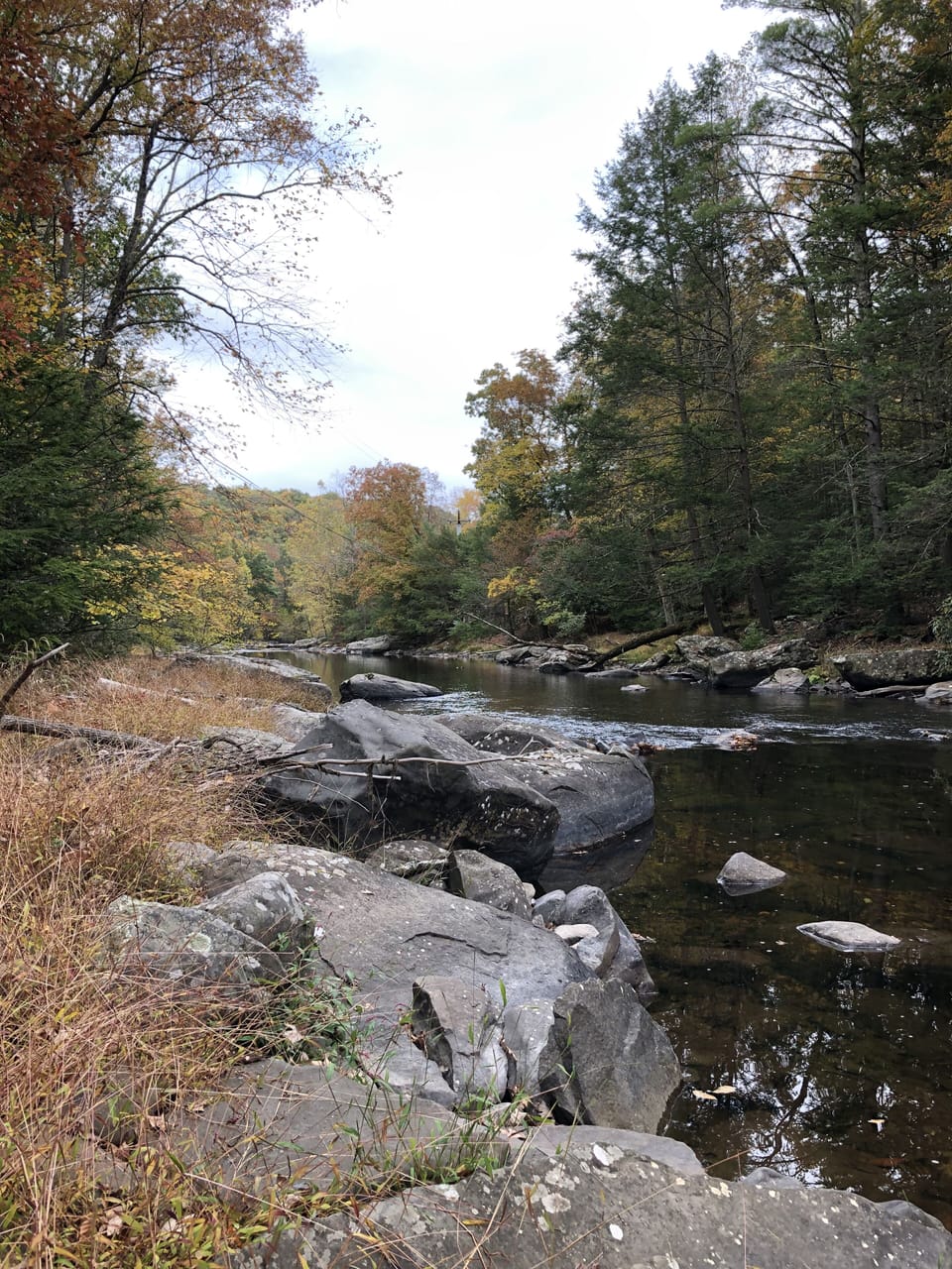 Creek view from our property