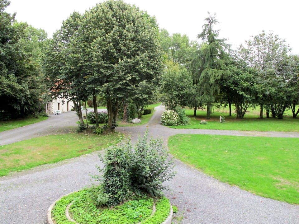 Tree, Green, Natural Landscape, Grass, Shrub, Woody Plant, Lawn, Garden, Plant, Botanical Garden