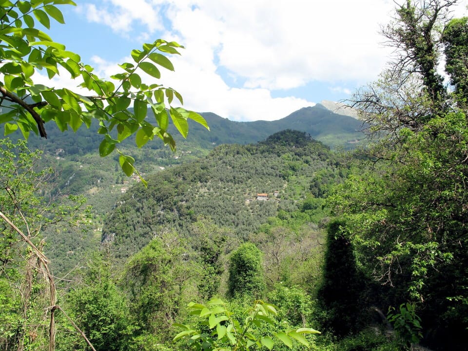 Vegetation, Nature, Nature Reserve, Tropical And Subtropical Coniferous Forests, Natural Landscape, Jungle, Natural Environment, Mountainous Landforms, Green, Forest