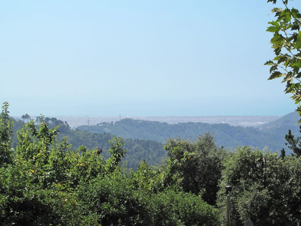 Vegetation, Sky, Natural Environment, Hill Station, Tree, Nature Reserve, Natural Landscape, Atmospheric Phenomenon, Tropical And Subtropical Coniferous Forests, Biome