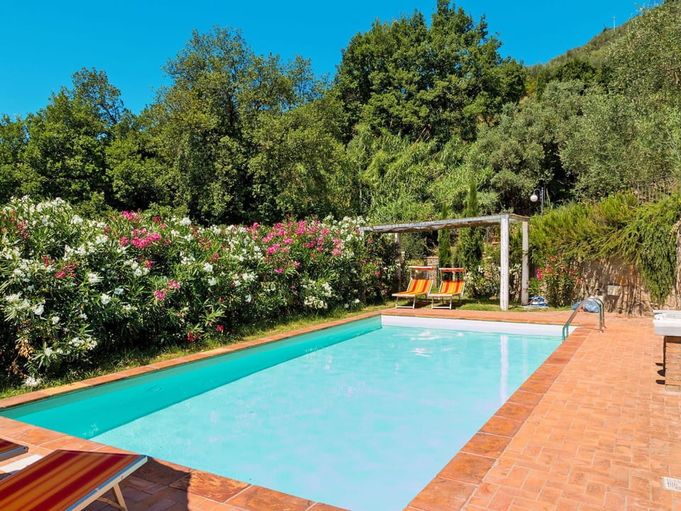 Water, Plant, Property, Sky, Swimming Pool, Nature, Azure, Flower, Shade, Tree