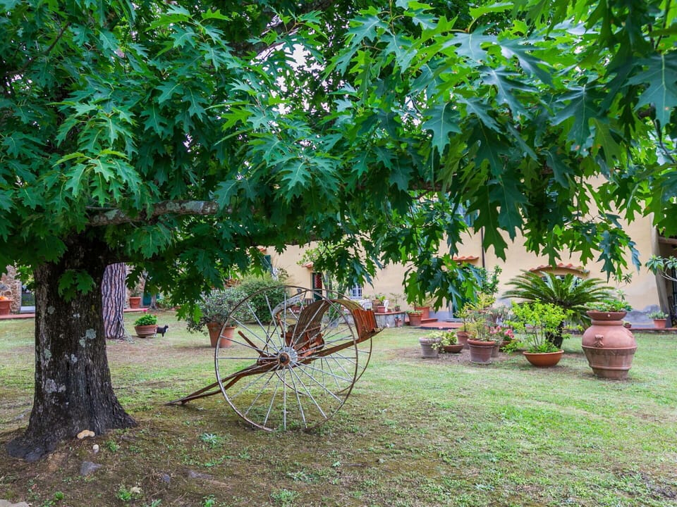 Water, Sky, Plant, Property, Swimming Pool, Azure, Shade, Outdoor Furniture, Sunlounger, Tree