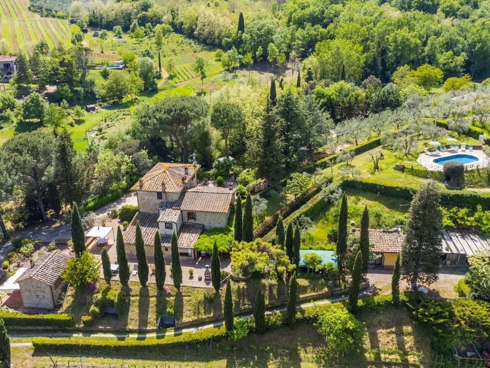 Plant, Property, Natural Landscape, Land Lot, Urban Design, Tree, Grass, Neighbourhood, Residential Area, Woody Plant
