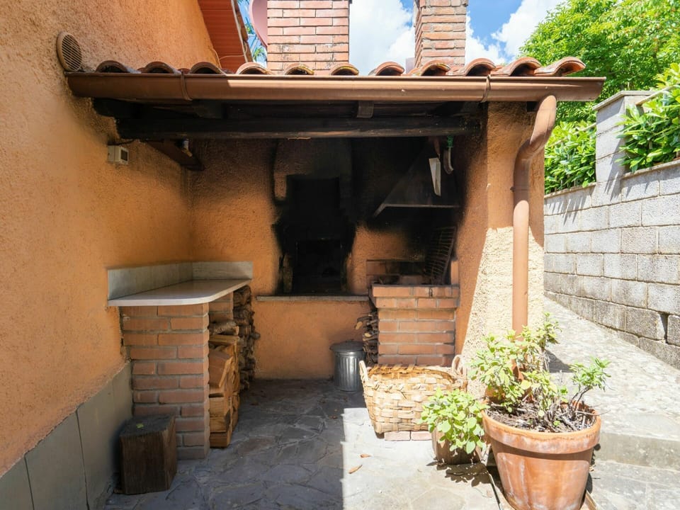 Plant, Property, Flowerpot, Wood, Shade, Tree, Brickwork, Brick, Building, Houseplant