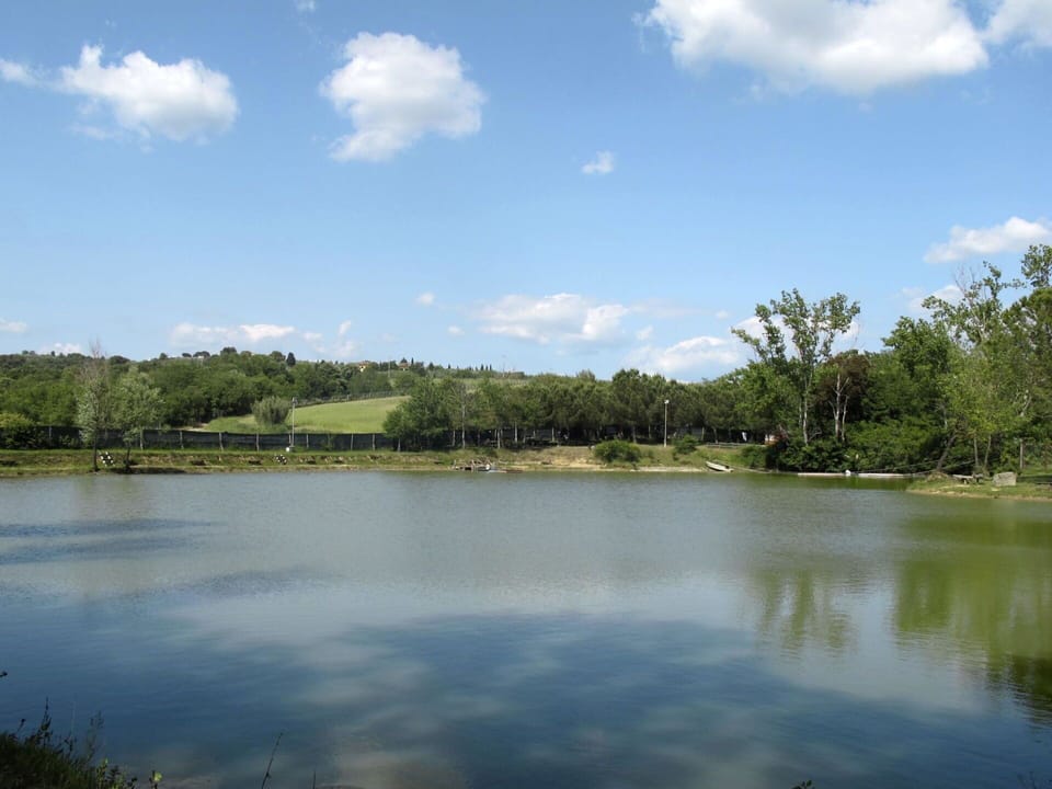 Cloud, Water, Sky, Plant, Tree, Natural Landscape, Lake, Land Lot, Grass