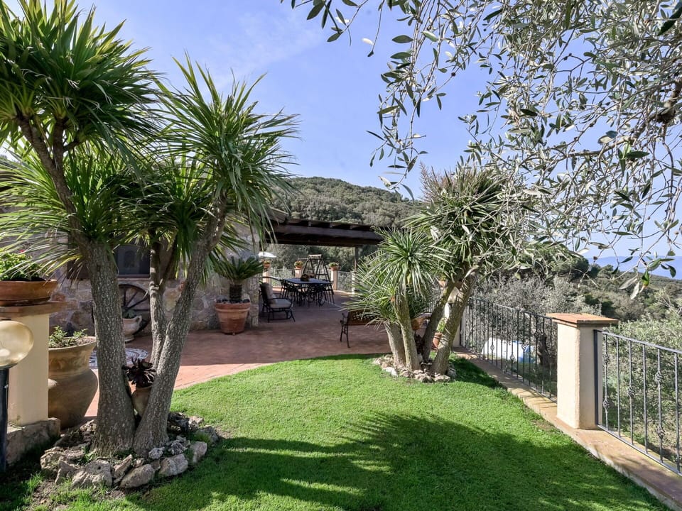 Shrub, Garden, Flowerpot, Landscaping, Woody Plant, Shade, Backyard, Houseplant, Yard