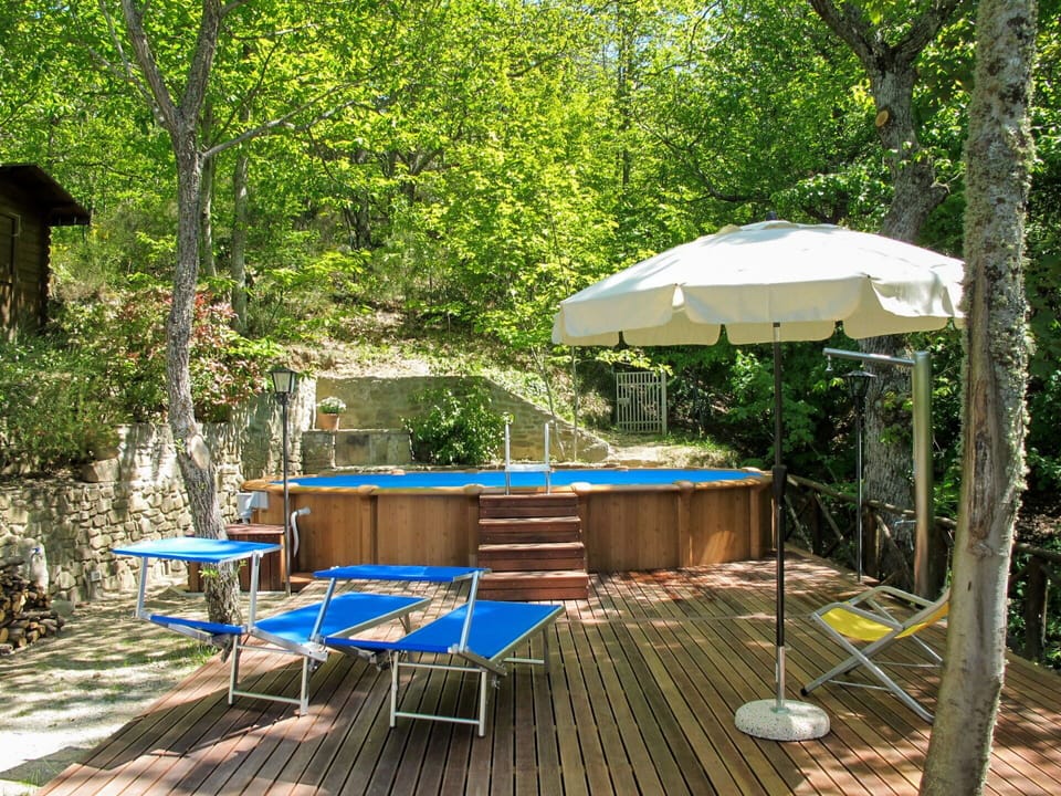 Plant, Furniture, Table, Nature, Shade, Botany, Chair, Tree, Outdoor Furniture, Wood