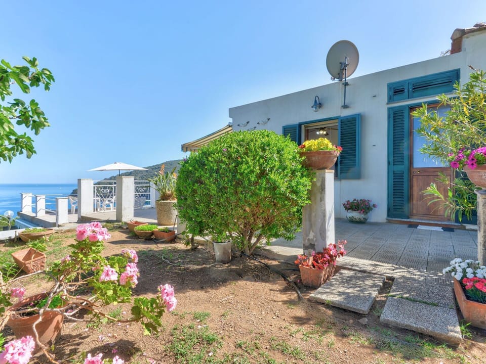 Flower, Sky, Plant, Building, Flowerpot, Window, Azure, Houseplant, House, Cottage