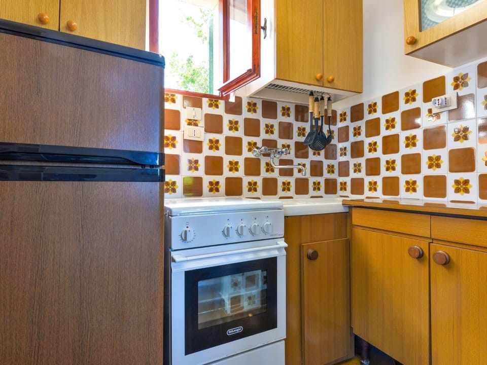 Cloud, Plant, Sky, Property, Window, Building, Fence, House, Land Lot, Neighbourhood